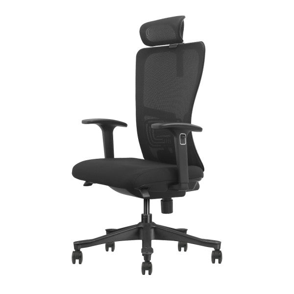 SKILLCHAIRS Ergo Apricity SKILLCHAIRS Ergo Apricity